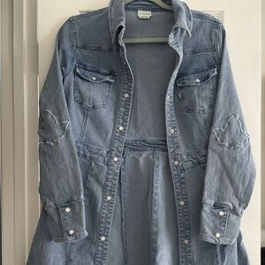 Ivy Storehouse Denim dress